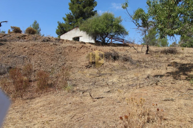Terreno para Venda em Azinhal Foto 15