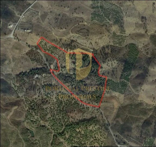 Terreno para Venda em Azinhal Foto 18