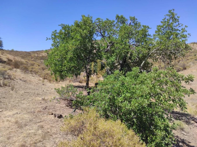 Terreno para Venda em Castro Marim Foto 19
