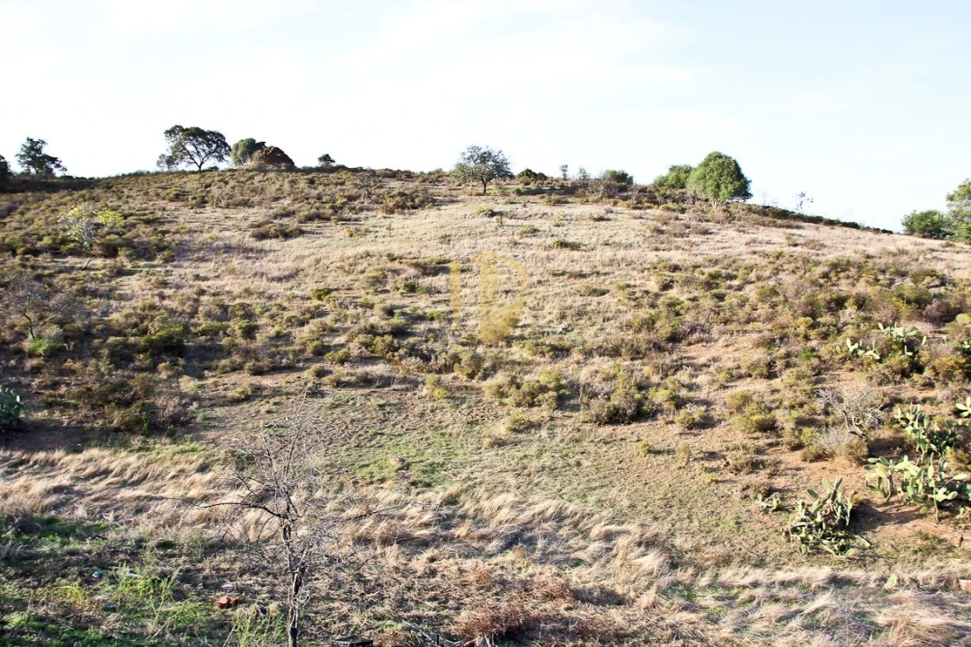Terreno para Venda em Castro Marim Foto 15