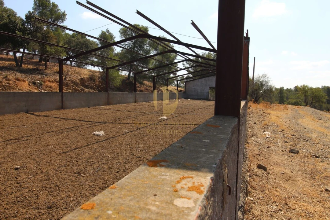 Negócio para Venda em Azinhal Foto 10