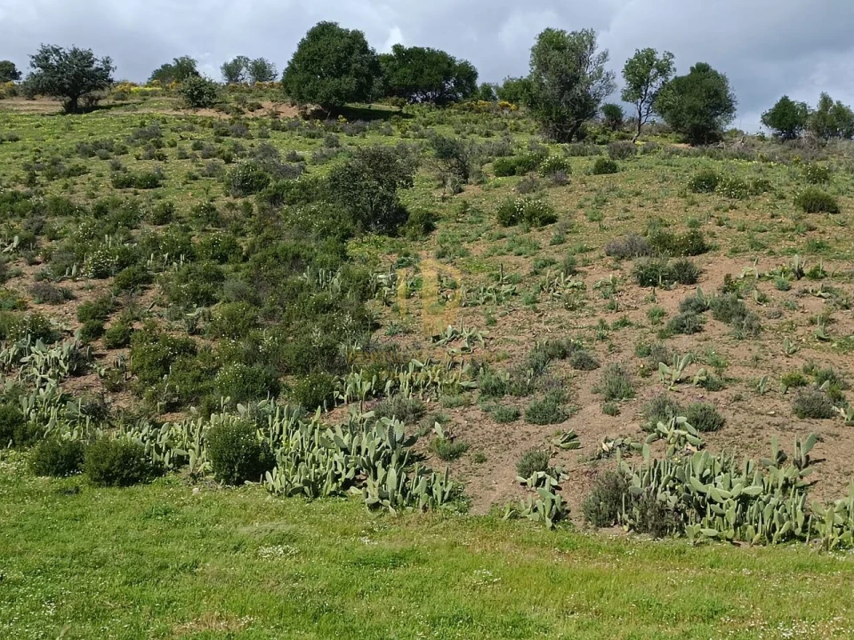 Terreno para Venda em Castro Marim Foto 26