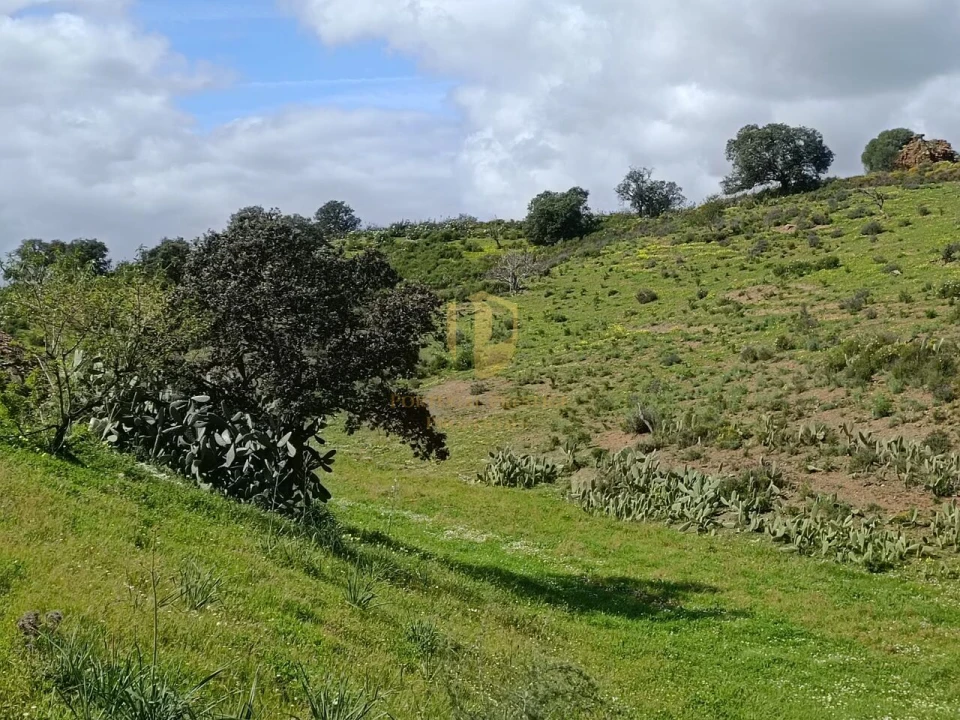 Terreno para Venda em Castro Marim Foto 29