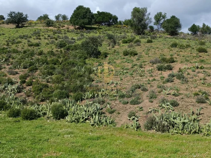 Terreno para Venda em Castro Marim Foto 26
