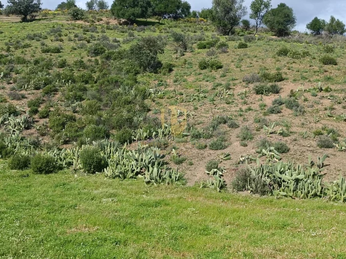 Terreno para Venda em Castro Marim Foto 27