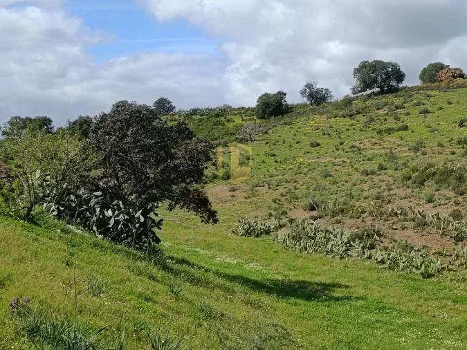 Terreno para Venda em Castro Marim Foto 29