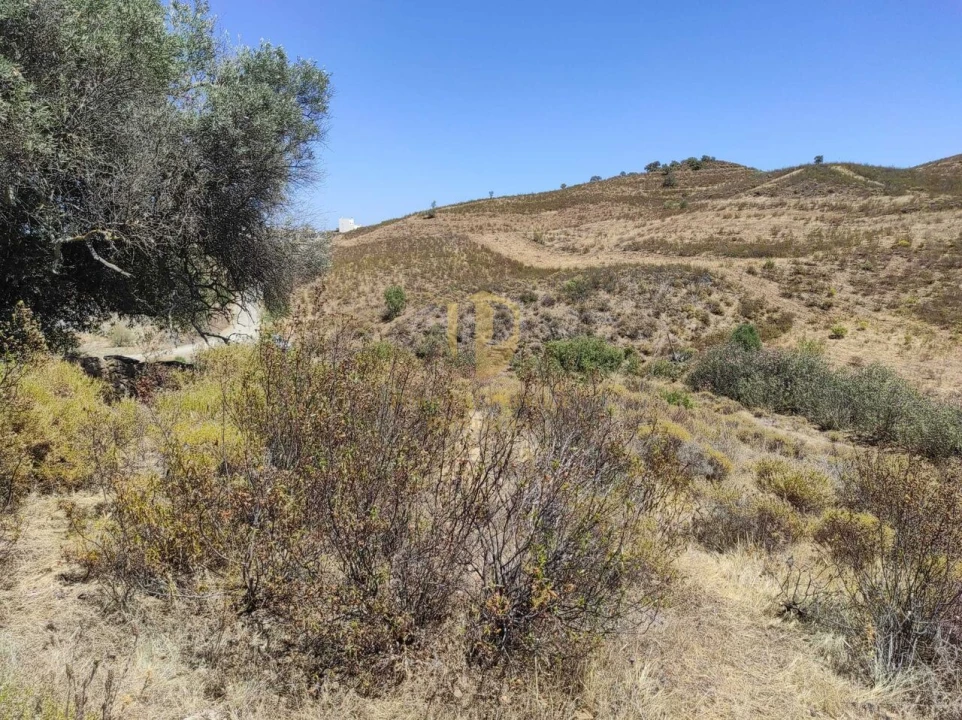 Negócio para Venda em Castro Marim Foto 23