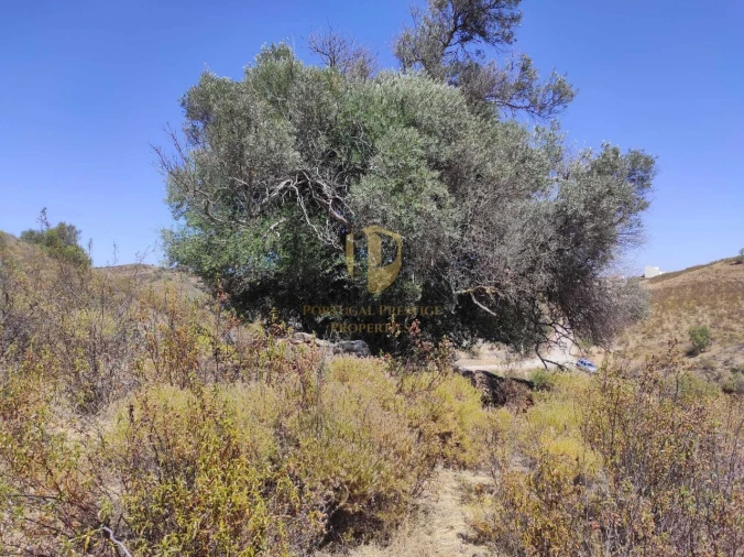 Negócio para Venda em Castro Marim Foto 7