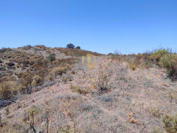 Negócio para Venda em Castro Marim Foto 15