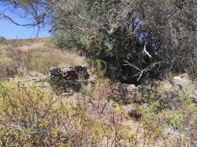 Negócio para Venda em Castro Marim Foto 18