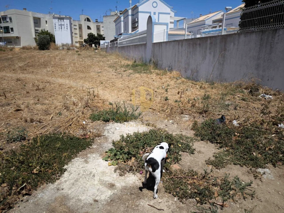 Terreno para Venda em Vila Nova de Cacela Foto 6