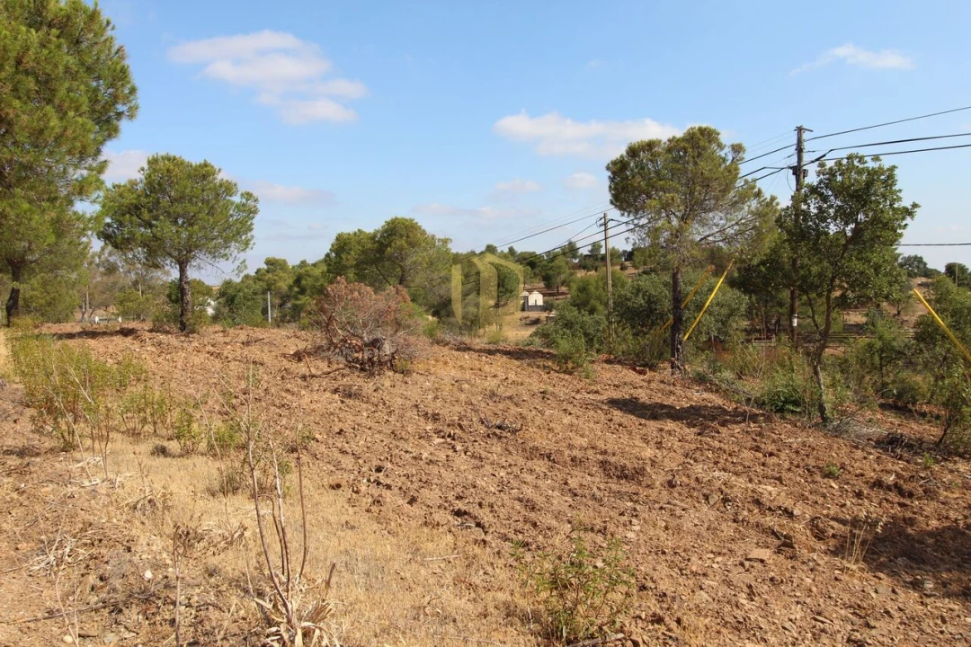 Quinta T2 para Venda em Azinhal Foto 8