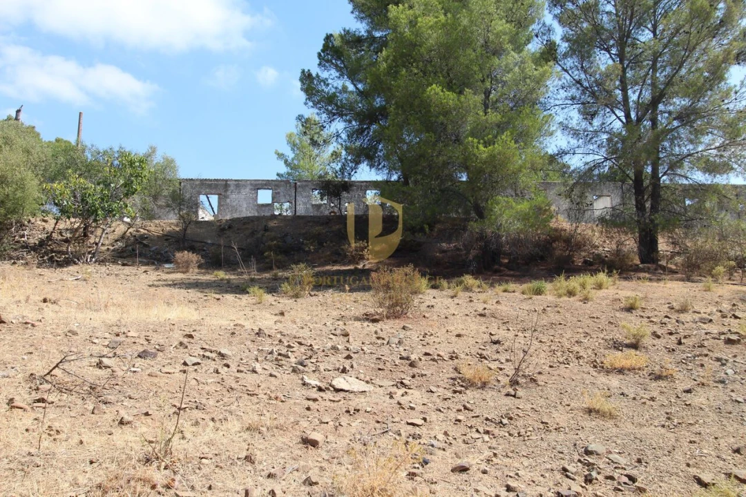 Quinta T2 para Venda em Azinhal Foto 16