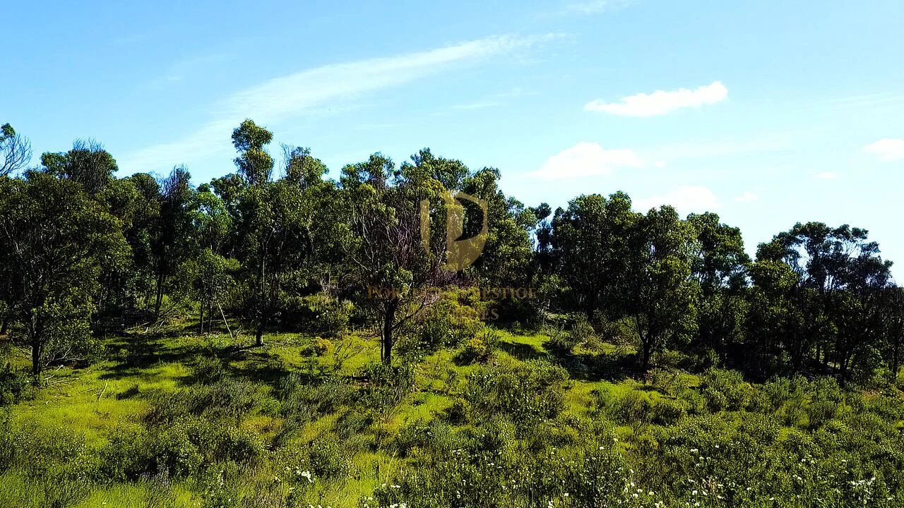 Terreno para Venda em Odeleite Foto 8