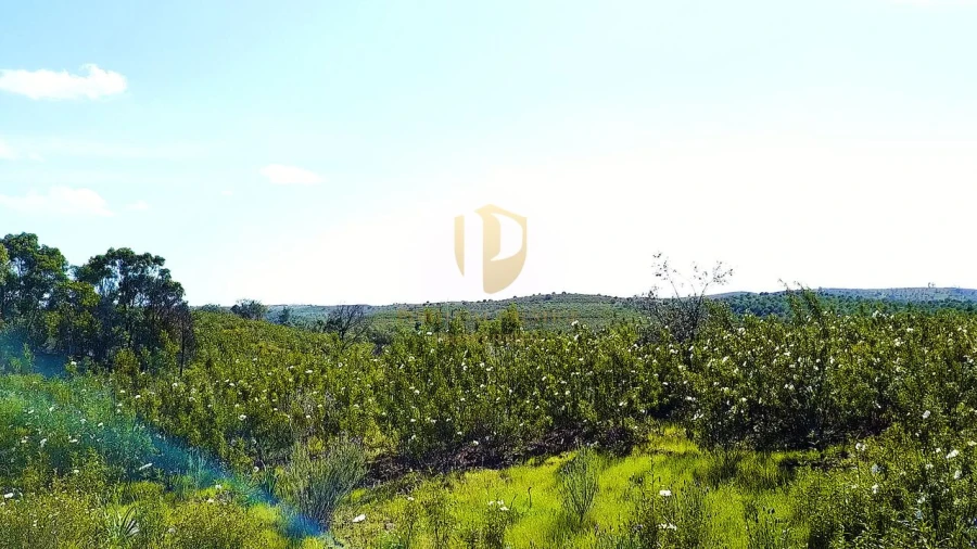 Terreno para Venda em Odeleite Foto 7