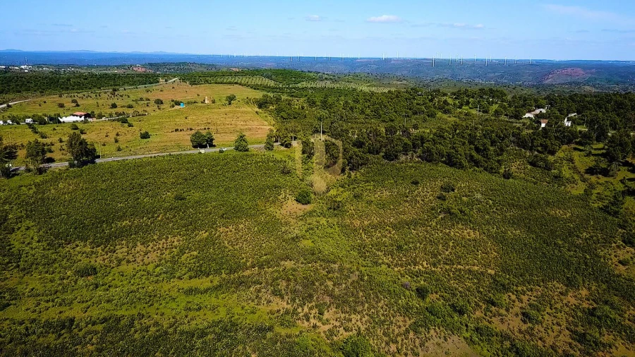 Terreno para Venda em Odeleite Foto 10
