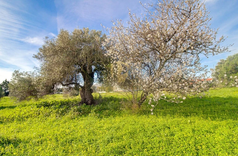 Moradia T4 para Venda em Vila Nova de Cacela Foto 48