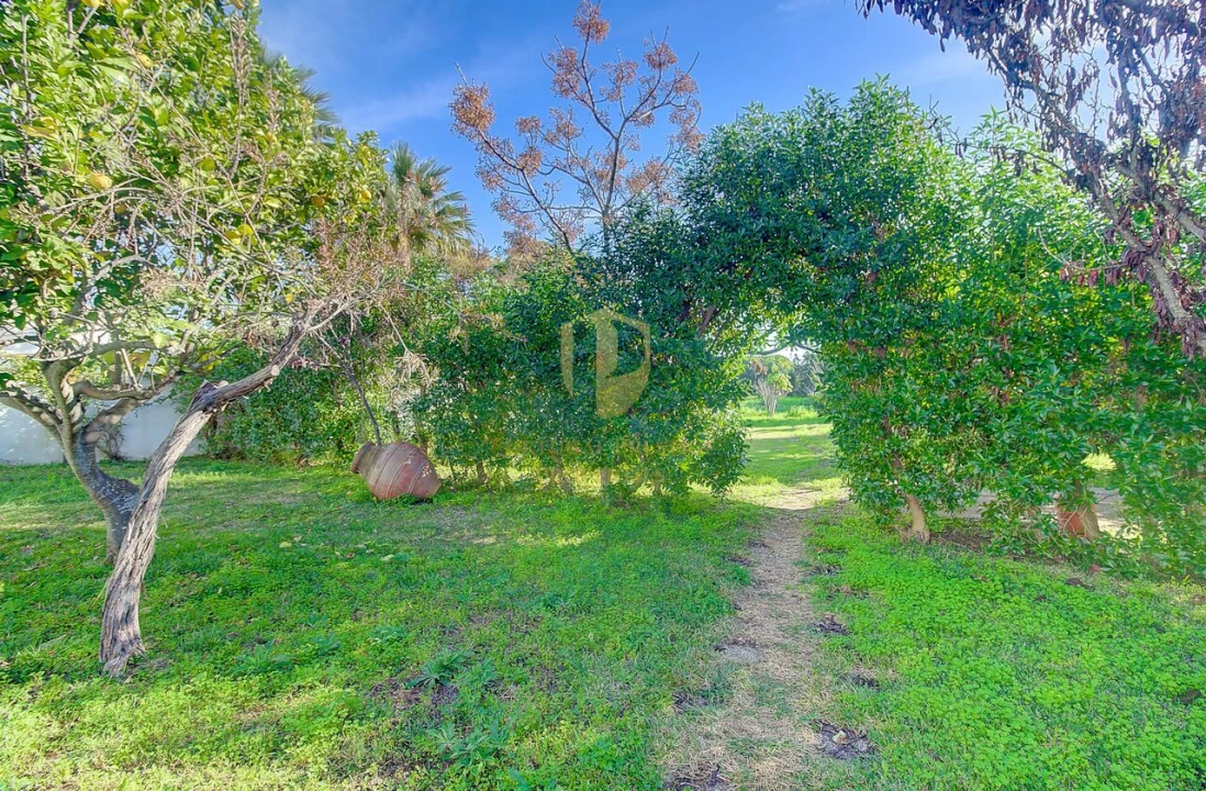 Quinta T4 para Venda em Vila Nova de Cacela Foto 44