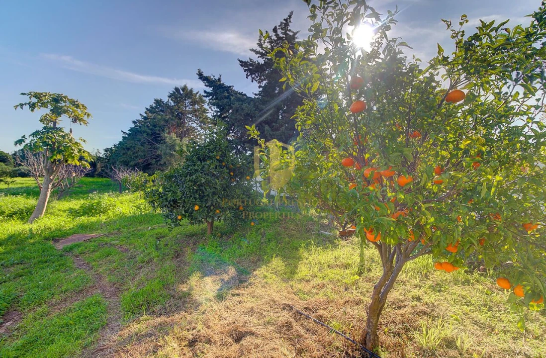 Quinta T4 para Venda em Vila Nova de Cacela Foto 46