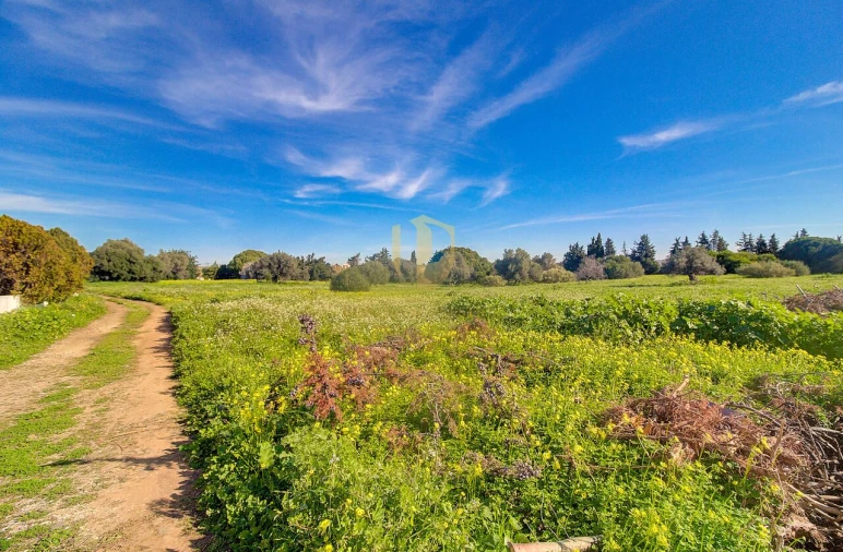 Quinta T4 para Venda em Vila Nova de Cacela Foto 48