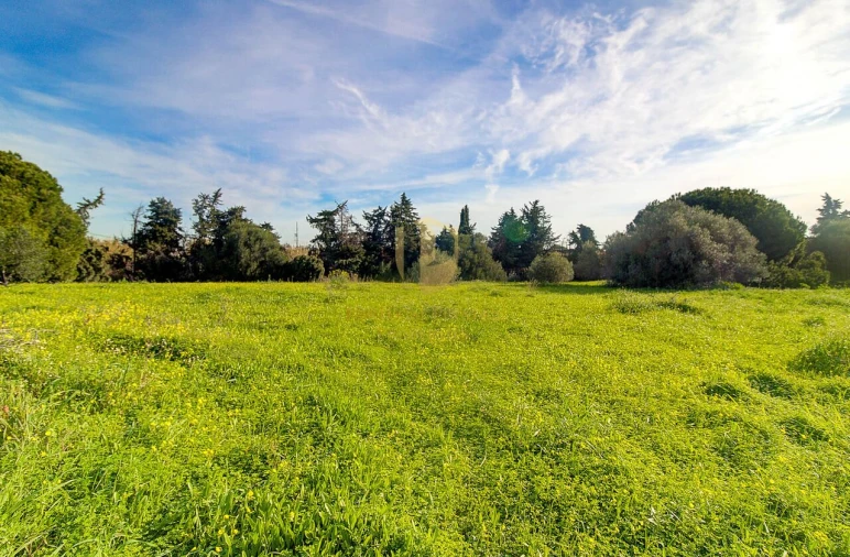 Quinta T4 para Venda em Vila Nova de Cacela Foto 51