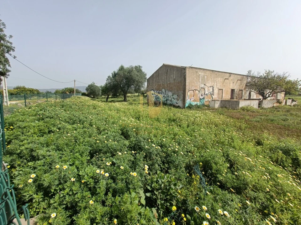 Terreno para Venda em Quelfes Foto 8