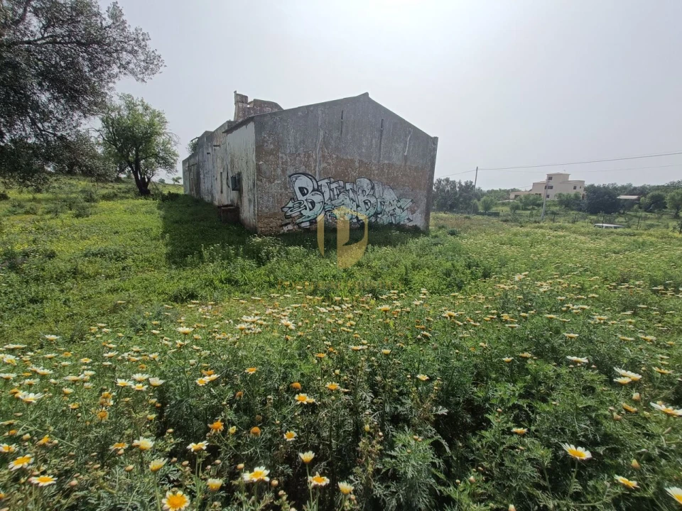 Terreno para Venda em Quelfes Foto 12