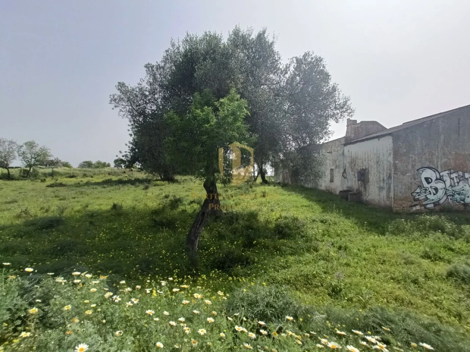 Terreno para Venda em Quelfes Foto 13
