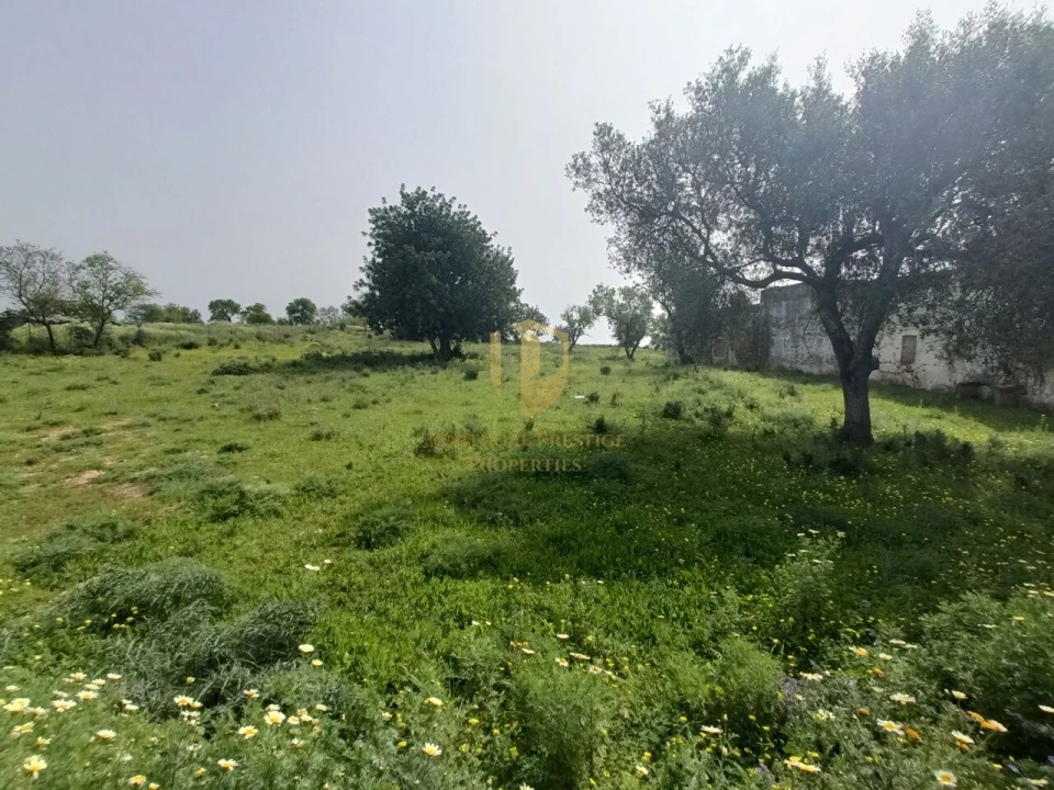 Terreno para Venda em Quelfes Foto 14