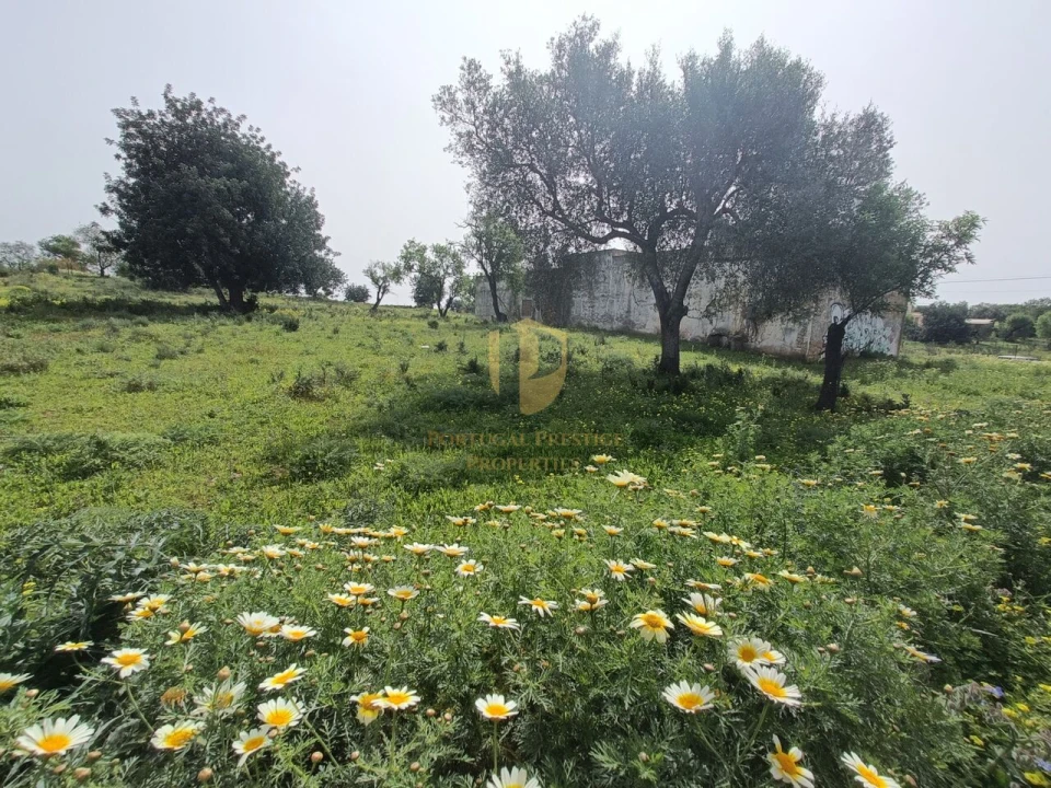 Terreno para Venda em Quelfes Foto 16