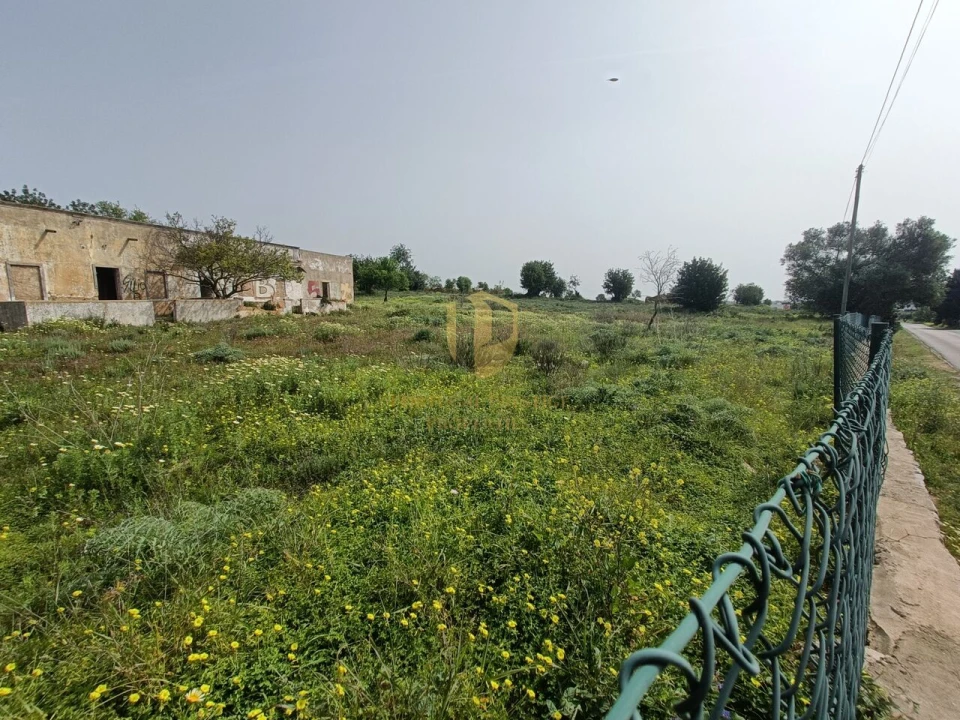 Terreno para Venda em Quelfes Foto 19