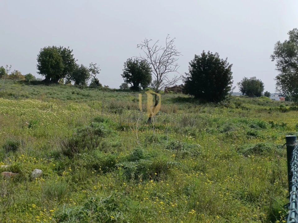 Terreno para Venda em Quelfes Foto 22