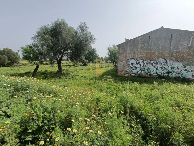 Terreno para Venda em Quelfes Foto 11