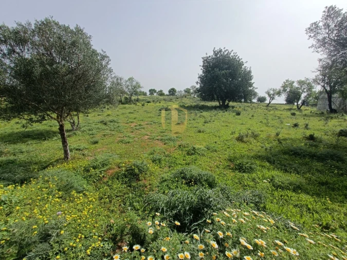 Terreno para Venda em Quelfes Foto 15