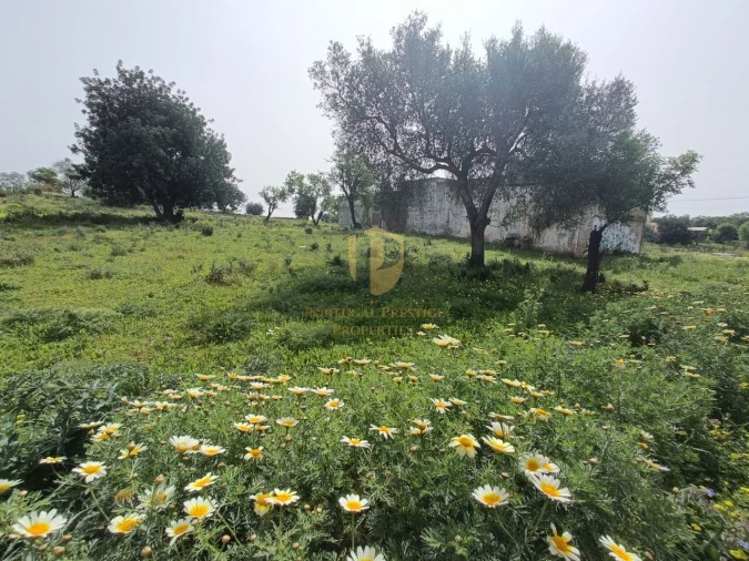 Terreno para Venda em Quelfes Foto 16