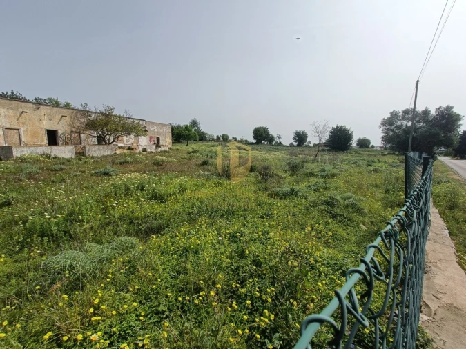 Terreno para Venda em Quelfes Foto 19