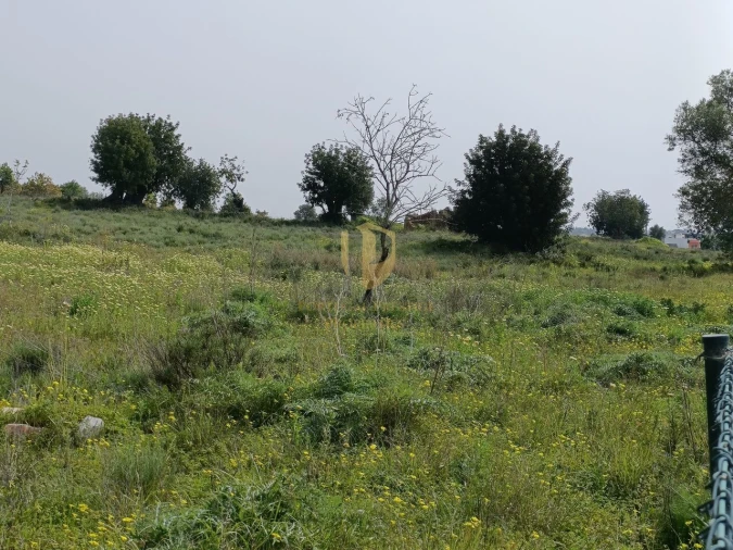 Terreno para Venda em Quelfes Foto 22