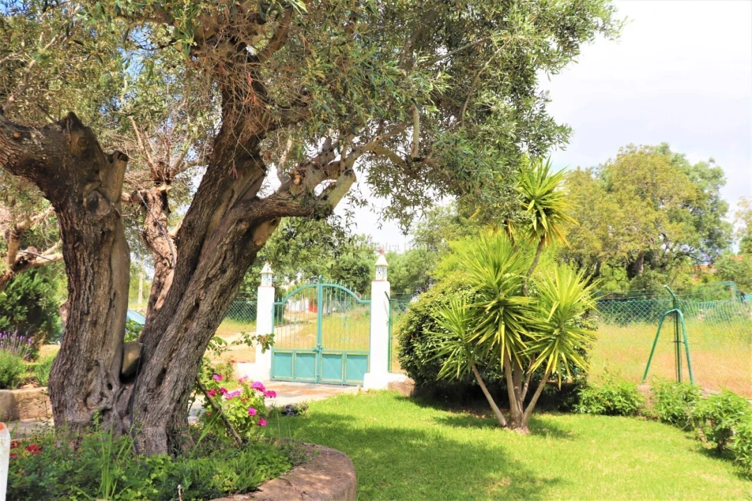 Quinta T5 para Venda em Ferreiras Foto 12