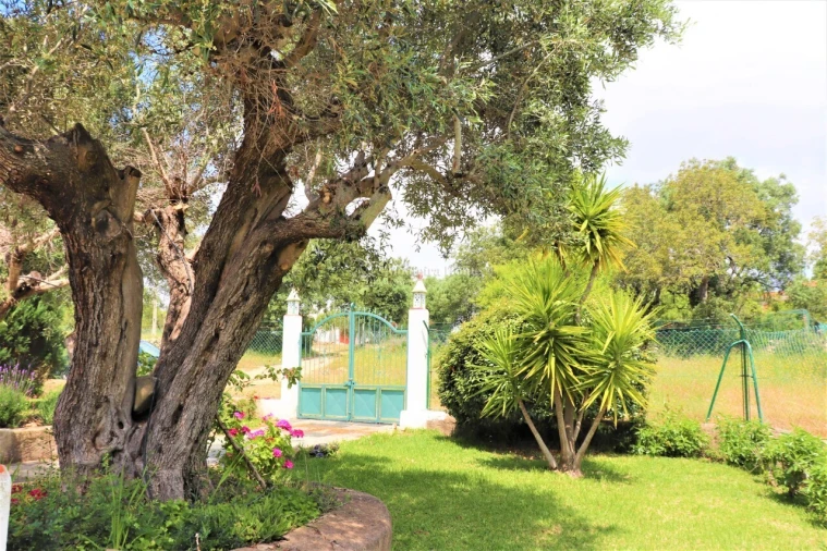 Quinta T5 para Venda em Ferreiras Foto 12