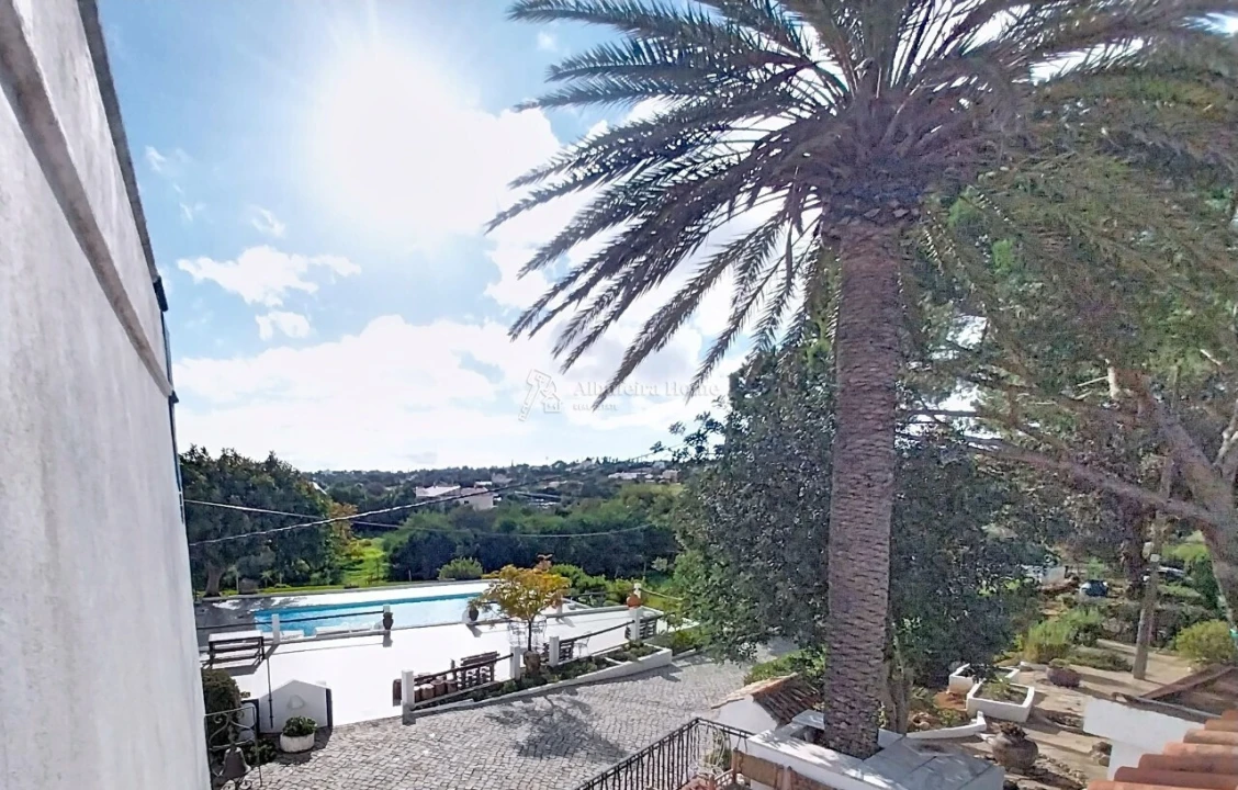 Quinta T11 para Venda em Guia Foto 73