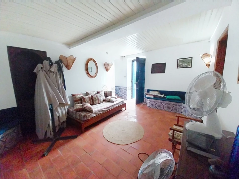 Quinta T11 para Venda em Guia Foto 54