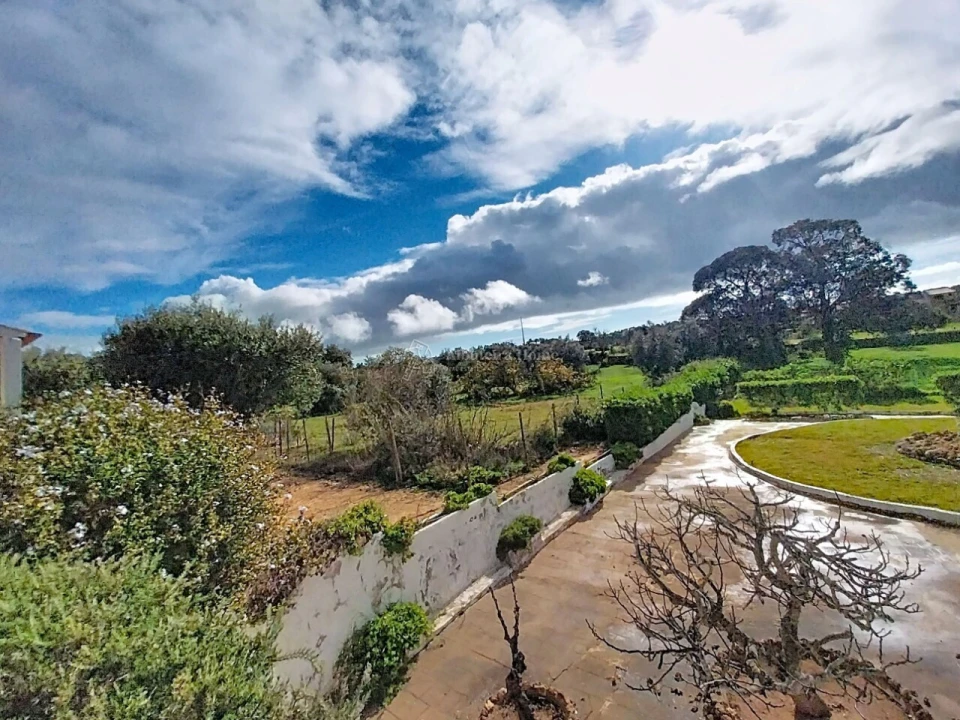 Quinta T11 para Venda em Guia Foto 11