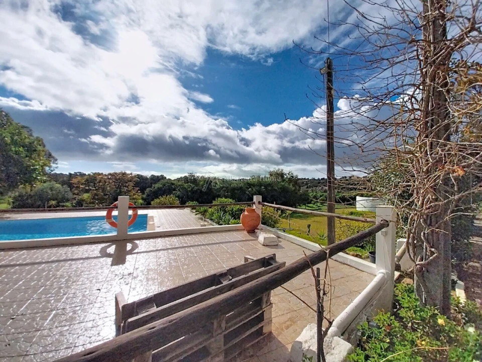 Quinta T11 para Venda em Guia Foto 14