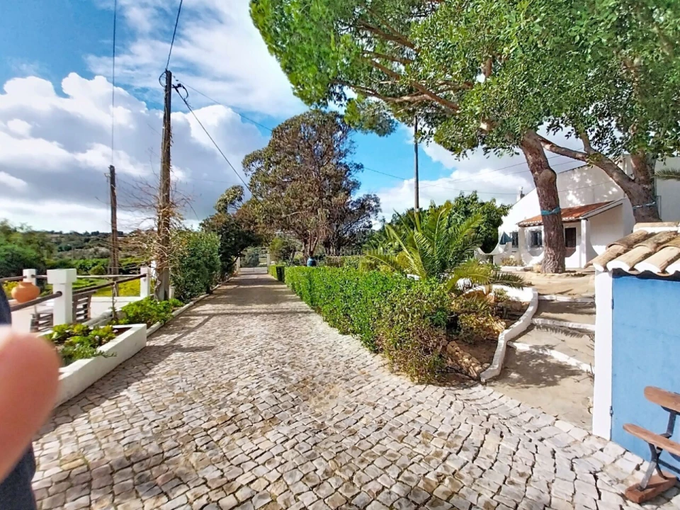 Quinta T11 para Venda em Guia Foto 2