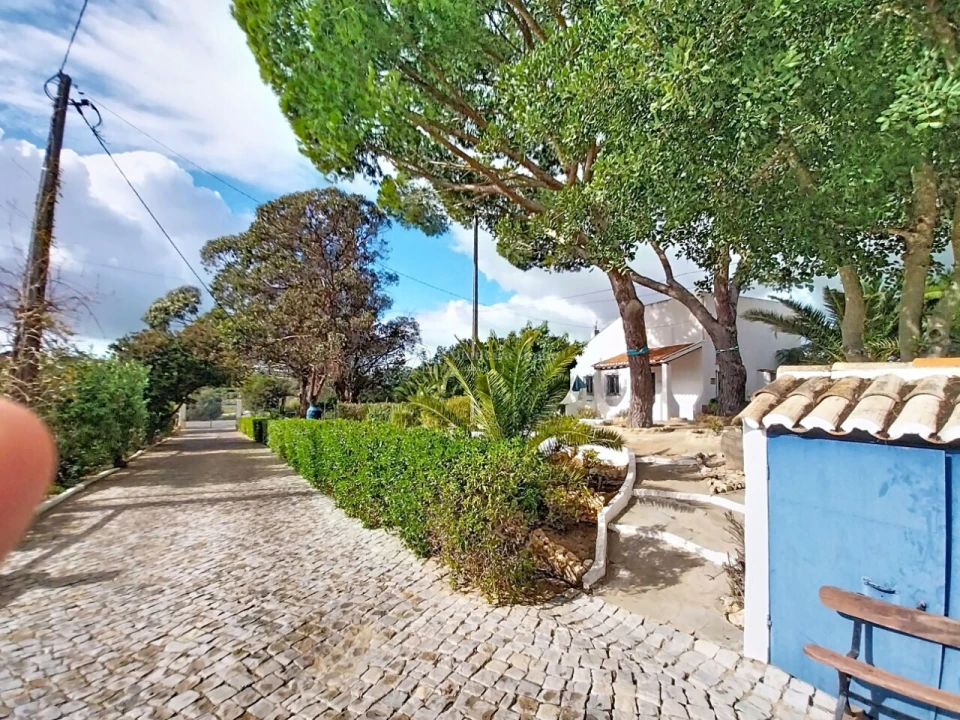 Quinta T11 para Venda em Guia Foto 4