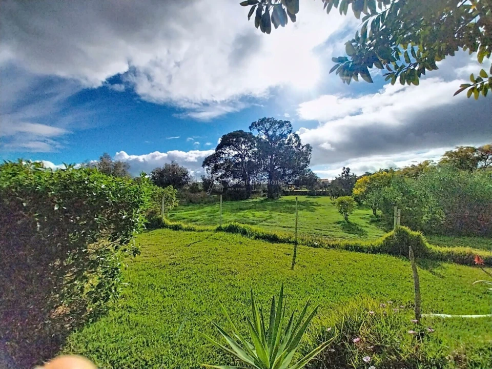 Quinta T11 para Venda em Guia Foto 8