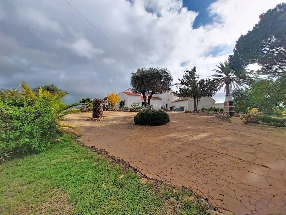 Quinta T11 para Venda em Guia Foto 22