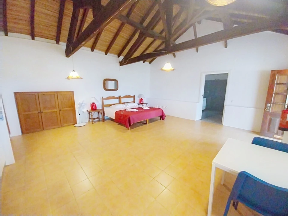 Quinta T11 para Venda em Guia Foto 32