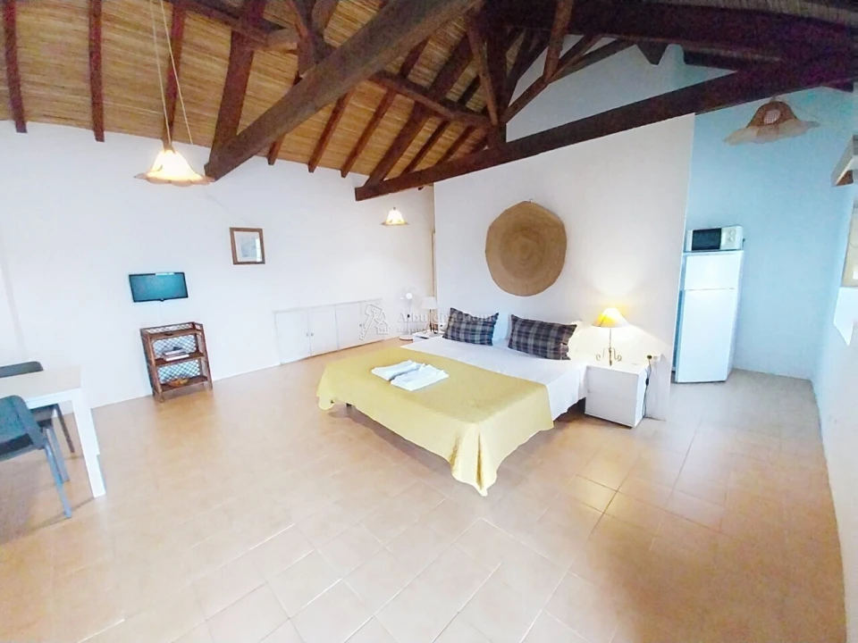 Quinta T11 para Venda em Guia Foto 41