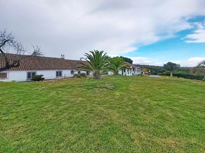 Quinta T11 para Venda em Guia Foto 52